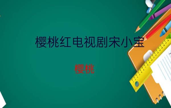 樱桃红电视剧宋小宝（樱桃 2012年宋小宝主演电视剧）